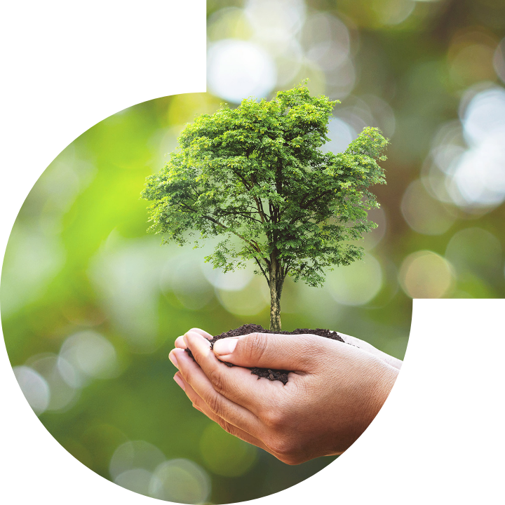 关怀人类、文化、环境与社会